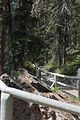 197 - Maligne Canyon, Medicine Lake, Maligne Lake - IMG_1190